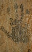 Pitture rupestri in Valle dell'Orta
