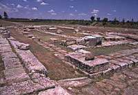 L'area e i resti del Tempio di Hera
